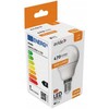 LED lemputė Globe Mini G45 4.5W E14 AVIDE