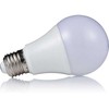LED lemputė SPECTOR LIGHT, E27 A60, 10W, 3000K, 1200 lm