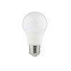 LED lemputė SPECTOR LIGHT, E27 A60, 15W, 4000K, 1490 lm