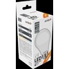 LED lemputė SPECTOR LIGHT, E27, A60, 8W, 4000K, 900lm, 220V-240V, filamentinė