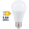 LED lemputė SPECTOR LIGHT, E27 G45, 7W, 3000K, 600 lm