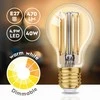 Alpina - Smart Wi-Fi bulb, E27 socket, power 4.9 W, warm baltas