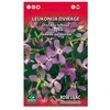 Leukonija dviragė 0,2g 0889