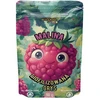 Liofilizuotos aviečių kruopos 50g FREEZE-DRIED RASPBERRY PREMIUM kokybės