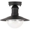 Pakabinamas šviestuvas Lubinis lauko šviestuvas Oslo IP44 Rabalux 60W E27 D24cm juodas