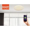 Lubinis šviestuvas Išmanusis lubinis LED šviestuvas GLOBO RADA 28W CCT 3000-6000K 3500lm ø48x7cm su pultu/APP