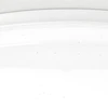 Lubinis šviestuvas Plafoninis LED šviestuvas SPECTOR LIGHT, IP44, 24W, 3000-6500K, 3090lm, Ø39,5cm, su pultu