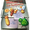 Magnetai ant šaldytuvo - Vabzdžiai ir kirminai - Ranok-Creative