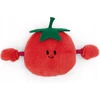 Dėlionė MAGNICI MINI POMIDOR MAGNES 7CM