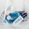 Maišeliai maistui šaldyti Paclan 1L/40gab. permatomi