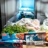 Maišeliai maistui šaldyti Paclan 6L/20gab. permatomi