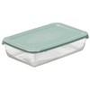 NHG Maisto laikymo indas Polar Box 460ml Žalias