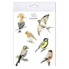 Mama Maluje Lyginamieji lipdukai Birds 2 233x152 mm Mama Paints
