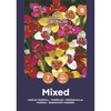 Margūjų tigrenių svogūnėliai, lot. PAVONIA MIX, 7 vnt