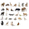 Media Mag Plokščios formos šaldytuvo magnetai I pažinti EXOTIC ANIMALS 28 vnt
