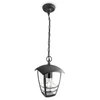 Medienos lazūra PINOTEX EXTREME LASUR, baltos sp., 3 l