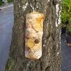 Medžio įduba su maistu laukiniams paukščiams Turdus 700g PL700