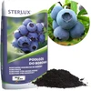 Mėlynių dirvožemis 50L STERLUX