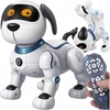 Memflow INTERAKTYVUS ROBOTAS ROBOPOGAS ŠUNIS NUOTOLINIO PULTO PROGRAMUOJAMAS