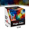 Memflow SPATIAL MAGIC CUBE 3D FIDGET antistresinis magnetinis žaislas