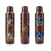 Pyramid Harry Potter (Colourful Crest) metalinis vandens buteliukas (560ml)