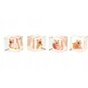 Midex SQUISHY antistresinis squishy KAPIBARA ledo kube 9847