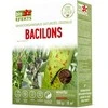 Mikrobiologinės trąšos Bacilons/koncentratas Bioefekts 100g