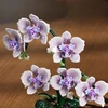 MJI 13115 Gėlių orchidėjų kaladėlės, 619 elementų - dekoratyvinis orchidėjų modelis