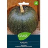 Moliūgų sėklos AMBAR, 2 g