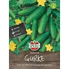 Moliūgų sėklos ERALY BUTTER NUT, 10 g