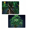 Mould King Mold King 10063S statybiniai blokai Laimės medžio bonsai dekoracija