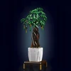Mould King Mold King 10063S statybiniai blokai Laimės medžio bonsai dekoracija