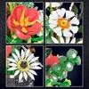 Mould King Moul King kaladėlės 24107 Daisy puokštės gėlių rinkinys
