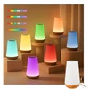 Bez Marki Naktinė lempa LED WIELOKOLOROWA USB Pultas DOTYK ŁADOWANA 13 KOLORÓW