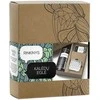 Namų kvapas su lazdelėmis ACAPPELLA Wind &amp; waves, 100 ml