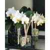 Aromika Namų kvapas su lazdelėmis ACappella Juodoji orchidėja, 100 ml