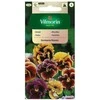 Našlaičių sėklos Vilmorin 0.4g Germania rococo