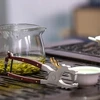 Nerūdijančio plieno Puer arbatos žnyplės Arbatos pyrago žnyplės Arbatos ceremonijos įrankis Raudonoji arbata