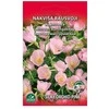 Nojus Misūrinių nakvišų sėklos 0.2g Silky Orchid-Rožinė