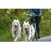 Non-Stop Dogwear Laikiklis dviračiui su antgaliu šuniui Non Stop Bike Antenna Klickfix