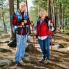 NORDIC ĖŠIMO LENTAI Sulankstomi, REGULIUOJAMI, ĖŠIMO LENTAI