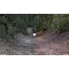 Oakley Sphaera Prizm Trail Torch akinių lęšis