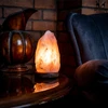 Ogrody Solne LAMPA SOLNA 2-3kg lampka NOCNA sól himalajska JONIZATOR naturalna su soli
