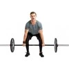 50 mm olimpinis grifas su guoliais tinkamas mėtymui 220 cm (apkrova iki 450 kg) inSPORTline OB-86 MTBH4
