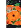 Orange Vaistinių medetkų sėklos Oranžinis GITANA, 2 g