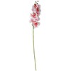 Home4You Orchidėja GĖLĖ H94cm, šviesiai rožinė