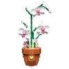 ORCHIDĖJA VAODYJE IŠ BLOKŲ KONSTRUKCINIAI BLAKAI ORCHIDĖJŲ MOTERS DIENA