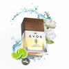 Oro gaiviklis K2 EVOS GRACE