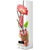 Oro gaiviklis-kvapnios lazdelės Zen Elix 50ml Raudona