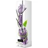 Oro gaiviklis-kvapnios lazdelės Zen Elix 50ml Juodas